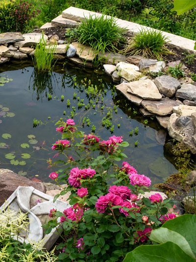 Projeto de lago ornamental com peixes e pedras naturais