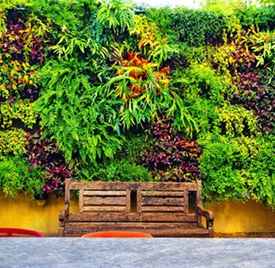 Projeto paisagístico residencial com jardim moderno