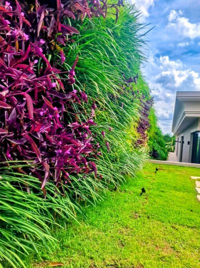 Projeto paisagístico residencial com jardim moderno